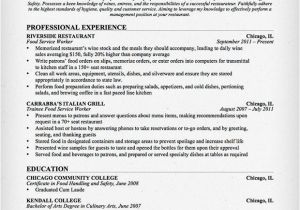 Sample Resume Objectives for Food Service Food Service Waitress Waiter Resume Samples Tips