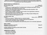 Sample Resume Of A Caregiver Nanny Resume Sample Writing Guide Resume Genius
