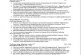 Sample Resume Of A Financial Analyst Financial Analyst Free Resumes