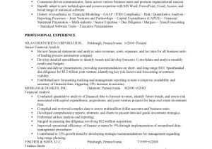 Sample Resume Of A Financial Analyst Financial Analyst Job Resume Sample Fastweb
