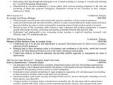 Sample Resume Of A Financial Analyst International Financial Analyst Resume