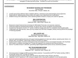Sample Resume Of A Financial Analyst Senior Financial Analyst Resume