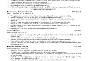 Sample Resume Of A Financial Analyst Senior Financial Analyst Resume the Best Resume
