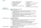 Sample Resume Of Entrepreneur Download Entrepreneur Resume Samples Diplomatic Regatta