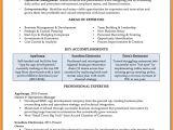 Sample Resume Of Entrepreneur Entrepreneur Resume Example Sample Resume Template 11