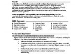 Sample Resume Of Entrepreneur Entrepreneur Resume Sample Best Professional Resumes