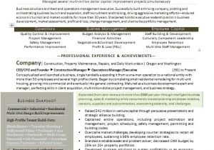 Sample Resume Of Entrepreneur Entrepreneur Resume Sample Best Professional Resumes