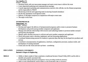 Sample Resume Of Entrepreneur Entrepreneur Resume Samples Velvet Jobs