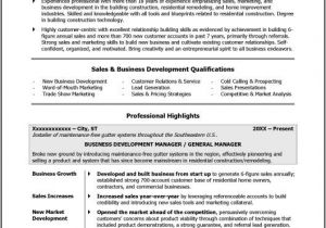 Sample Resume Of Entrepreneur Sample Resume for A former Entrepreneur Distinctive