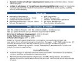 Sample Resume Of Experienced software Engineer Sample Resume for An Experienced It Developer Monster Com