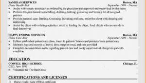 Sample Resume Of Health Care Aide 10 Health Care Aide Resume Cover Letter Invoice