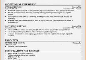 Sample Resume Of Health Care Aide 10 Health Care Aide Resume Cover Letter Invoice