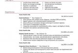 Sample Resume Of Health Care Aide Best Home Health Aide Resume Example Livecareer