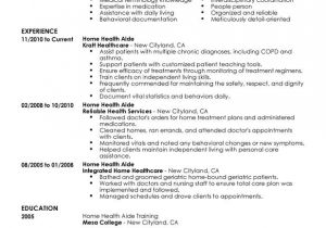 Sample Resume Of Health Care Aide Home Health Aide Resume Examples Free to Try today