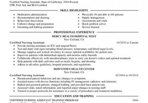 Sample Resume Of Health Care Aide Nursing Aide and assistant Resume Examples Created by