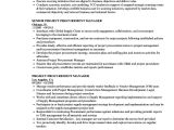 Sample Resume Of Purchase Manager Project Procurement Manager Resume Samples Velvet Jobs