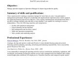 Sample Resume Summary Resume Summary Examples