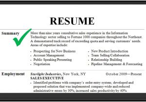 Sample Resume Summary Resume Summary Examples