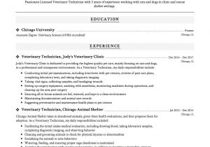 Sample Resume Vet Tech Guide Veterinary Technician Resume 12 Samples Pdf