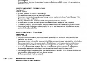 Sample Resume Video Video Production Resume Samples Velvet Jobs