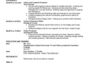 Sample Resume Videographer Hampshire Cv Examples 18 Cv Templates In Hampshire