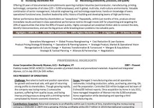 Sample Resume Vp Operations Example Vice President Resume for An Executive Candidate