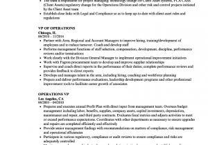 Sample Resume Vp Operations Operations Vp Resume Samples Velvet Jobs