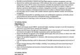 Sample Resume Vp Operations Vp Operations Resume Samples Velvet Jobs