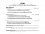 Sample Resume with Gaps In Employment Employment Gaps Reframing Your Experiences