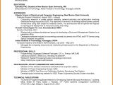 Sample Resume with One Job Experience 6 Job Resumes with No Experience Ledger Paper