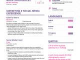 Sample Resume with Picture Examples Of Resumes by Enhancv
