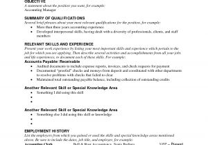 Sample Resume with Picture Functional Resume Resume Cv