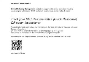 Sample Resume with Qr Code Qr Code Cv Resume Template David Drodge