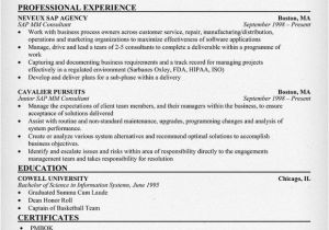 Sample Resume with Sap Experience Sap Mm Consultant Resume Resumecompanion Com Resume