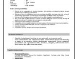 Sample Resume with Sap Experience Sap Mm Materials Management Sample Resume 10 00 Years