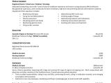 Sample Resume with Summary Statement 9 Sample Resume Summary Statements Sample Templates