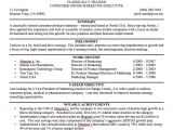 Sample Resume with Summary Statement Best Photos Of Professional Resume Bio Resume Summary