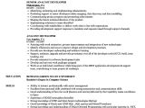 Sample Resume with Xml Experience Analyst Developer Resume Samples Velvet Jobs