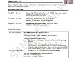 Sample Resume Xls format 37 Resume Template Word Excel Pdf Psd Free