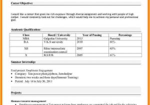 Sample Resume Xls format 5 Cv In Excel format theorynpractice