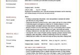Sample Resume Young Person Cv Template Young Person Student Cv Template and