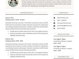Sample Resume Young Professional 14 Incredible Cv Templates for Every Job Type Career