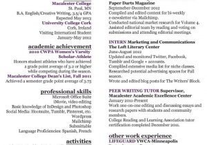 Sample Resumes 2012 Best Resume Writing Service 2012 Best Resume Gallery