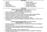 Sample Resumes for Customer Service Positions Customer Service Representative Resume Examples Free to