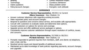 Sample Resumes for Customer Service Positions Customer Service Representative Resume Examples Free to