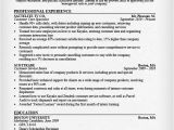 Sample Resumes for Customer Service Positions Resume Samples Customer Service Jobs Sample Resumes