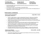 Sample Resumes for Experienced It Professionals 7 Professional Resume Examples Sample Templates