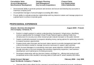 Sample Resumes for Experienced It Professionals 7 Professional Resume Examples Sample Templates