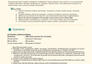 Sample Resumes for Experienced It Professionals Resume Samples for Experienced Professional