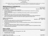 Sample Resumes for Experienced It Professionals Sample Cover Letter Sample Resume Experienced Professional